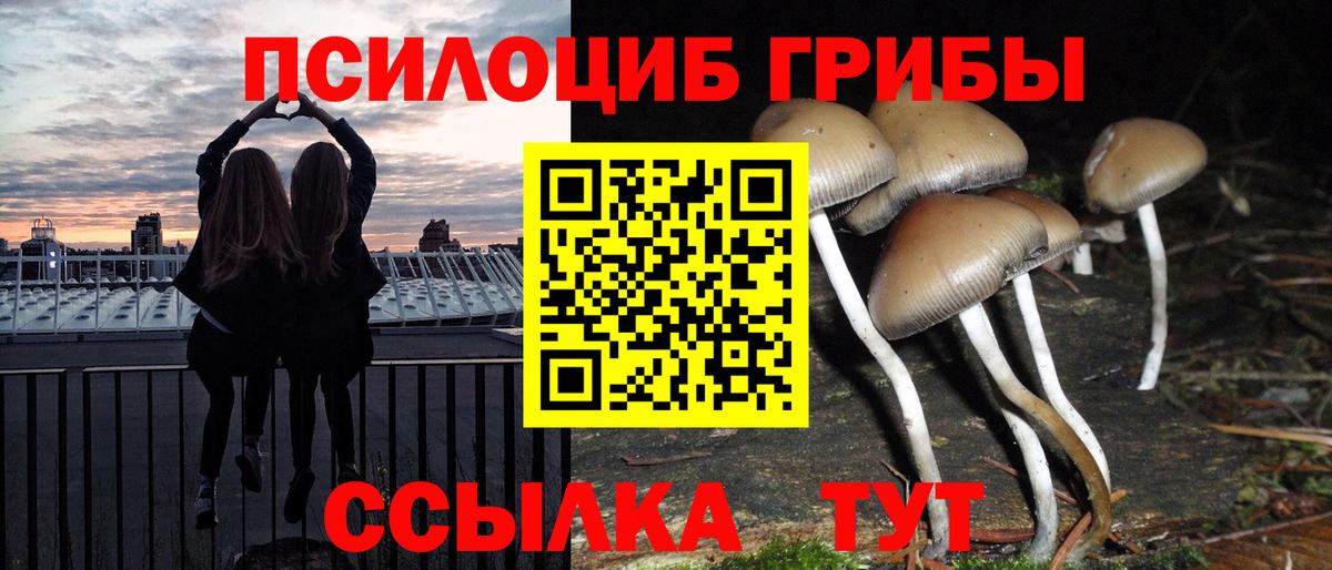 Галлюциногенные грибы MAGIC MUSHROOMS Троицк
