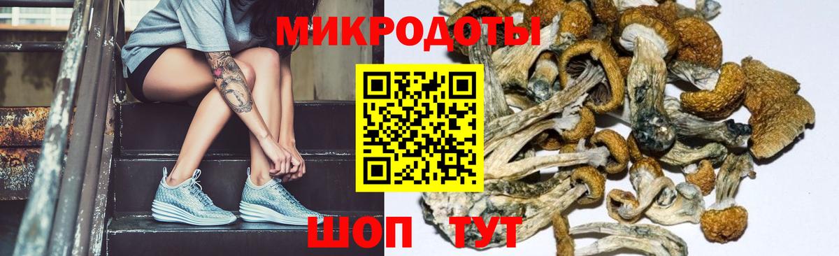 Троицк  Галлюциногенные грибы Magic Shrooms  Вход с VPN  Псилоцибиновые грибы GOLDEN TEACHER 